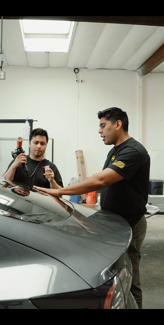 tint-ppf courses